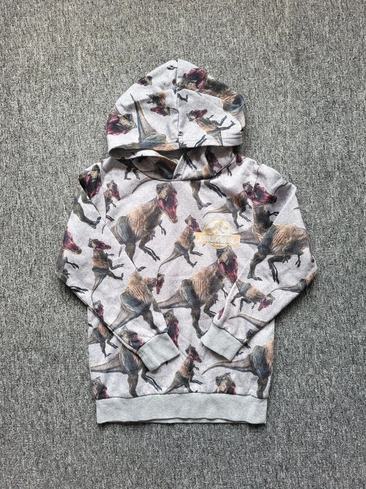 Sweat À Capuche Jurassic World H&M 6-8 Ans 122/128 Dinosaures